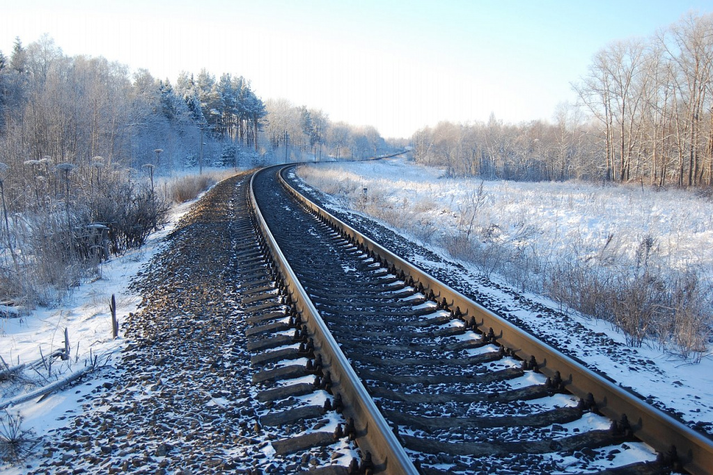 В 29 муниципалитетах Московской области, в том числе и в Орехово-Зуеве, до конца года проводятся рейды по предупреждению травматизма на железной дороге