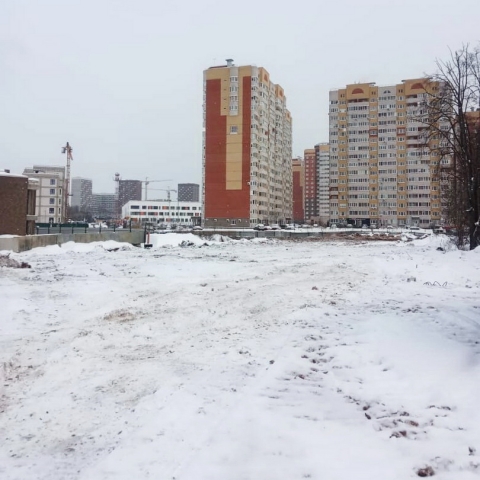 Создается новая прогулочная зона парка Усадьбы Белкино