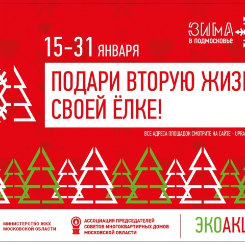 Экологическая акция «Подари своей елке вторую жизнь» проходит в Московской области по 15 февраля