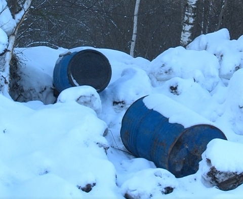 Местные жители обнаружили в лесу под Коломной нелегальную свалку отходов