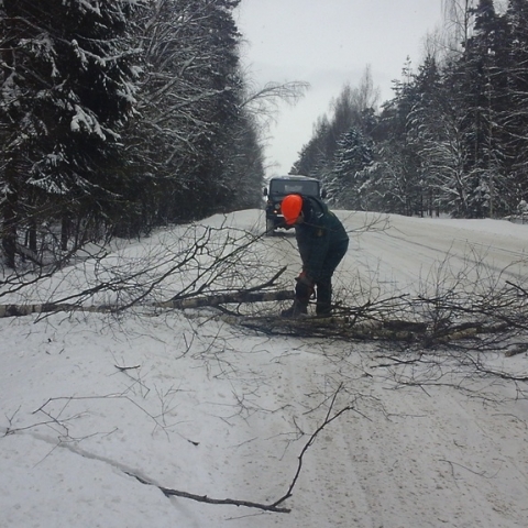 С дорог у деревень Кузьминки и Волково убрали упавшие деревья