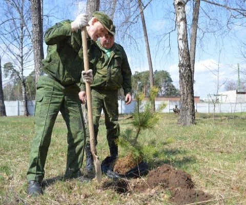 В Серпуховском бору появились новые деревья