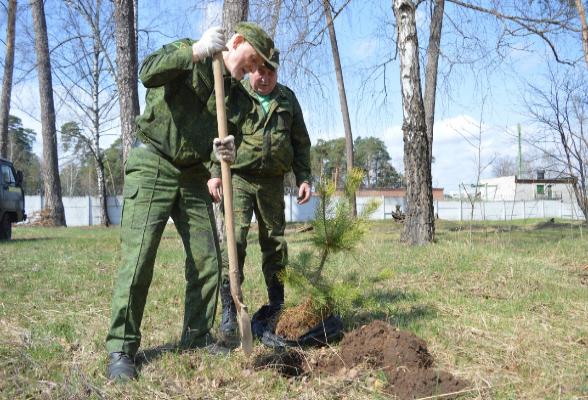 В Серпуховском бору появились новые деревья