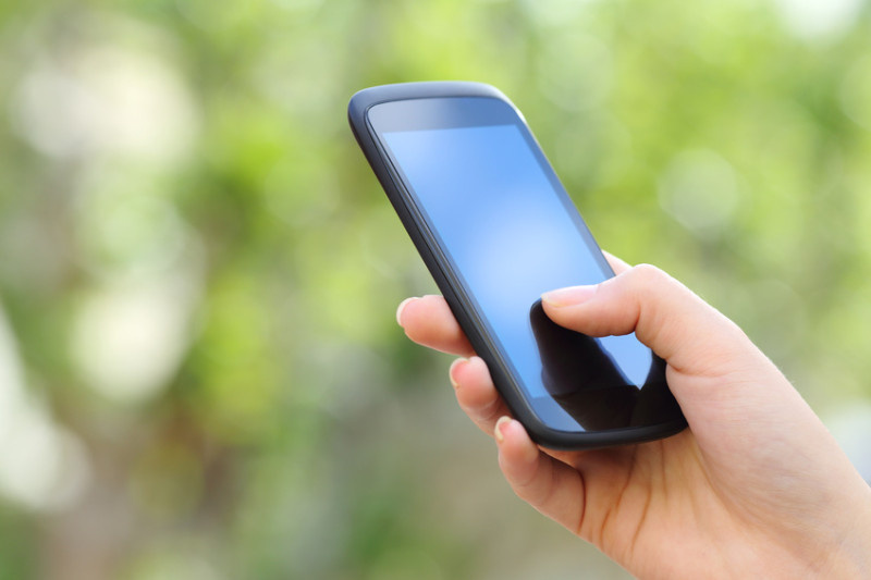 Мобильный интернет стал быстрее в деревнях и дачных товариществах Можайского городского округа