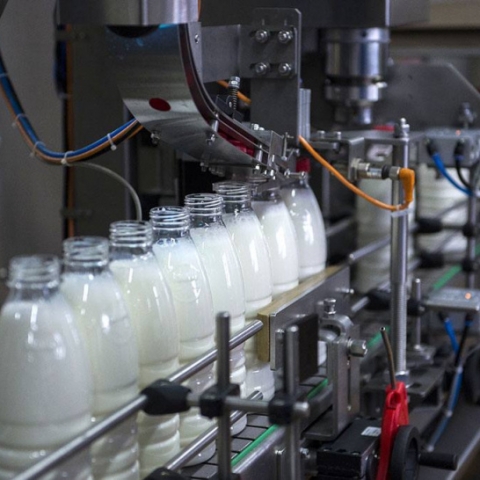 Производство молочной продукции построят в Можайске