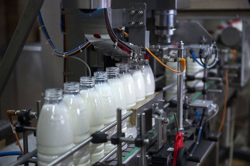 Производство молочной продукции построят в Можайске