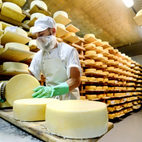 Подмосковье стало лучшим среди регионов России по производству сыра за 4 месяца 2021 года