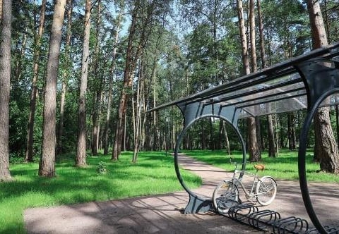 Лесопарковая зона отдыха вблизи улицы Службина может войти в региональную программу «Парки в лесу»