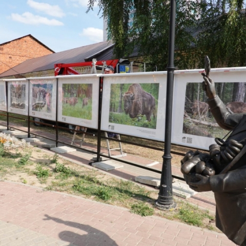 В Серпухове открылась передвижная фотовыставка под открытым небом