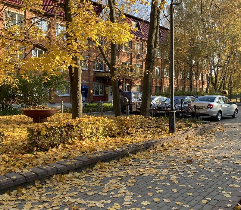 Новости образования, культуры, сферы благоустройства городского округа Пущино