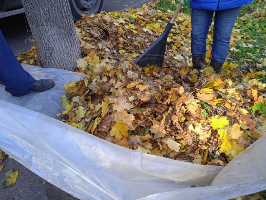 В Коломне начали убирать опавшую листву