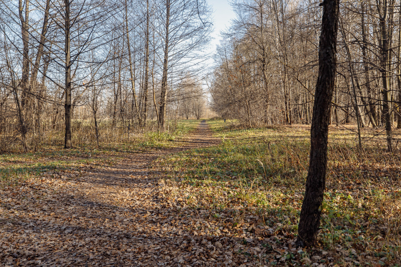 Благоустройство парка 1 Мая в Орехово-Зуеве начнется в 2022 году