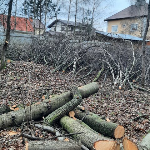 Новости образования, культуры, сферы благоустройства городского округа Пущино