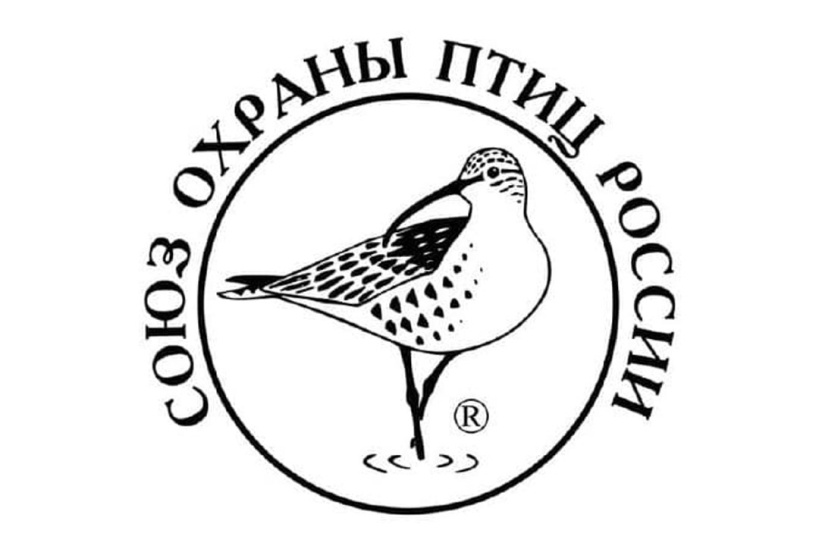 Союз охраны птиц проводит Всероссийский исследовательский конкурс «Российская зима 2021-2022»