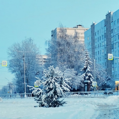 Новости образования, культуры, сферы благоустройства городского округа Пущино