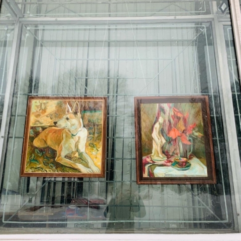 Выставочный зал разместил экспозицию в окнах, которую можно посмотреть прямо с улицы