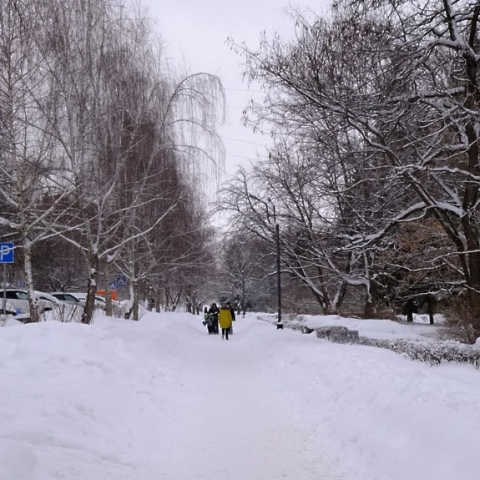 Новости образования, культуры, сферы благоустройства городского округа Пущино