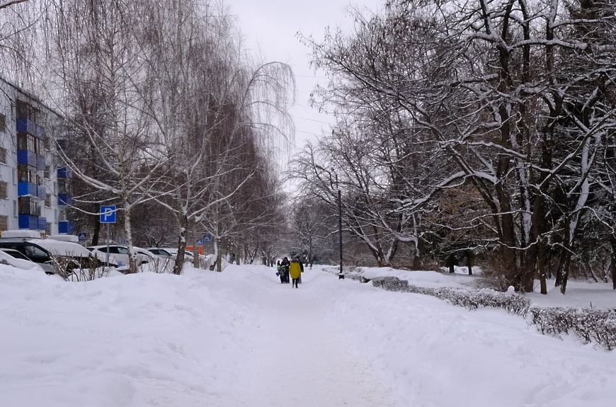 Новости образования, культуры, сферы благоустройства городского округа Пущино