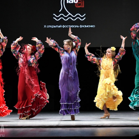 Около 100 уникальных номеров увидели зрители фестиваля фламенко «La Plata» в Ступине