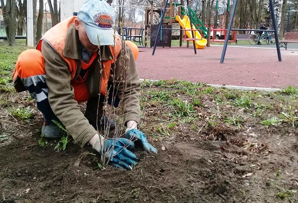 В рамках «Месяца чистоты и благоустройства» в Подмосковье пройдет акция «Зеленый обмен»