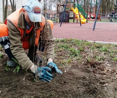 В рамках «Месяца чистоты и благоустройства» в Подмосковье пройдет акция «Зеленый обмен»