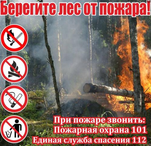 Уважаемые жители и гости округа! Напоминаем о правилах поведения в лесу в пожароопасный период.