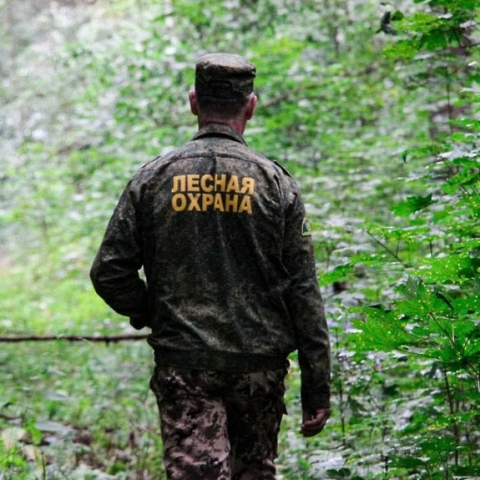 Ограничение на пребывание в лесах ввели в Подмосковье с 16 по 21 августа