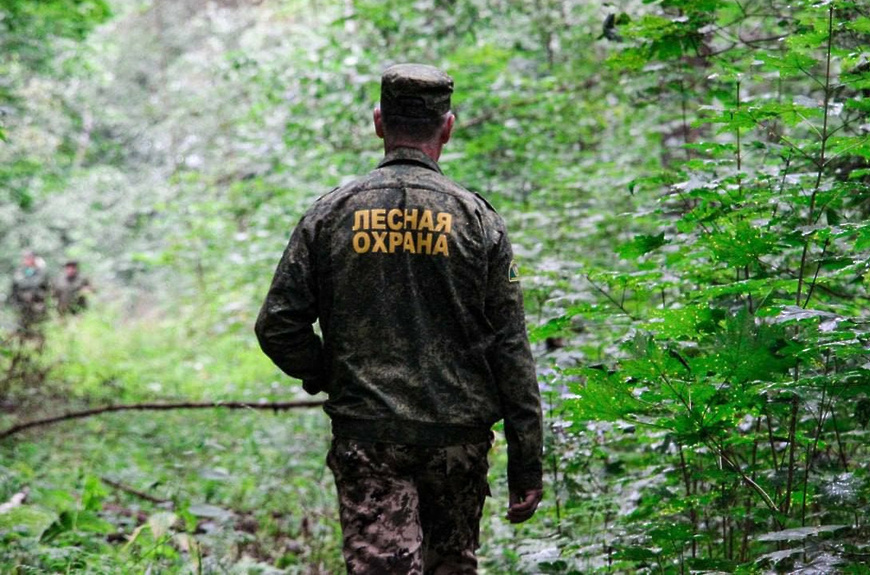 Ограничение на пребывание в лесах ввели в Подмосковье с 16 по 21 августа