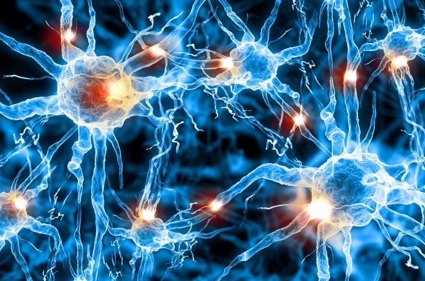 Биофизики создали «умный» материал, способный ускорять рост нейронов с помощью контролируемого нагрева