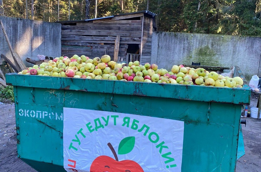 Министерство ЖКХ Подмосковья подводит итоги акции «Тут едут яблоки и арбузы! Прямо на переработку!»