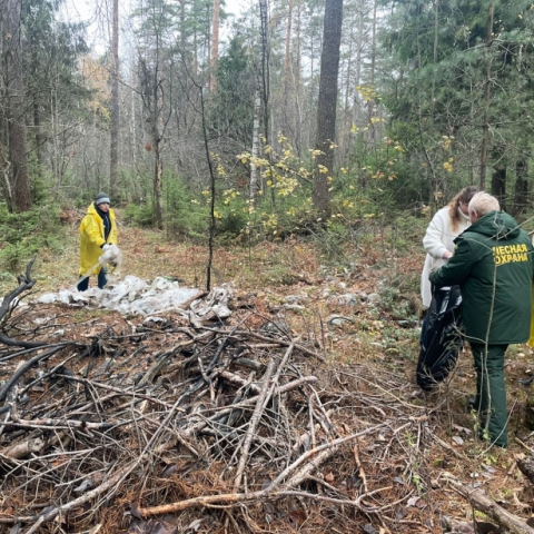 Участок леса в Егорьевске очистили от мусора