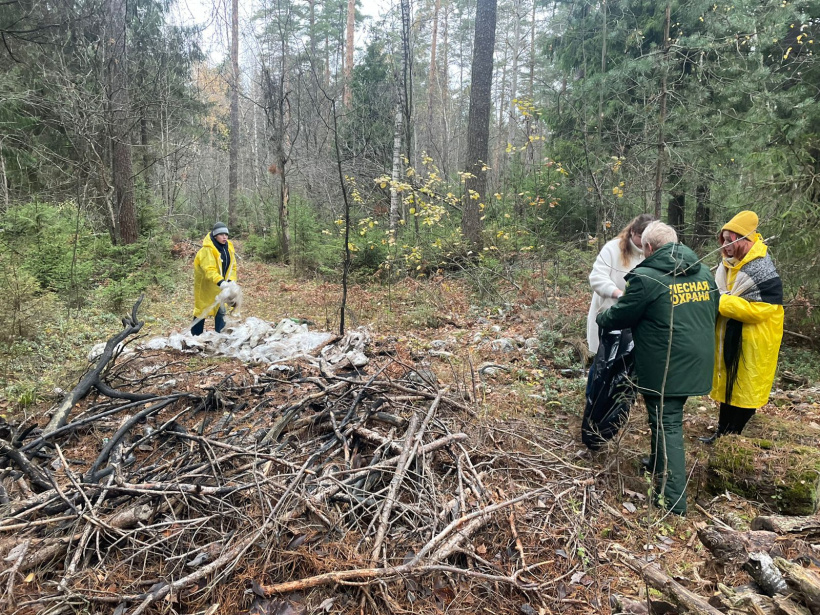 Участок леса в Егорьевске очистили от мусора