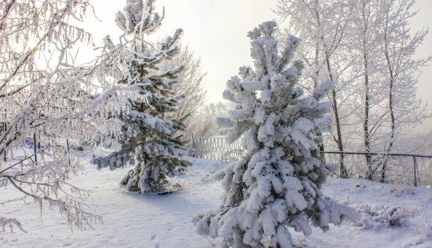 Рождественская ночь в Можайске стала третьей в списке самых холодных в XXI веке