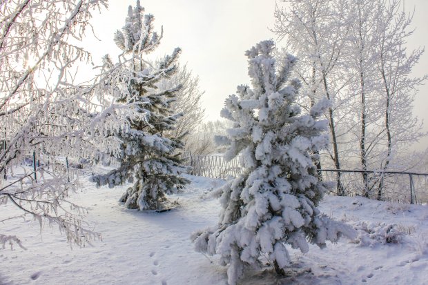 Рождественская ночь в Можайске стала третьей в списке самых холодных в XXI веке