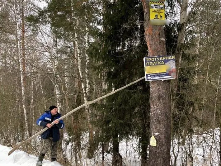 Лесничие Орехово-Зуевского округа произвели очистку деревьев от незаконно размещенных объявлений