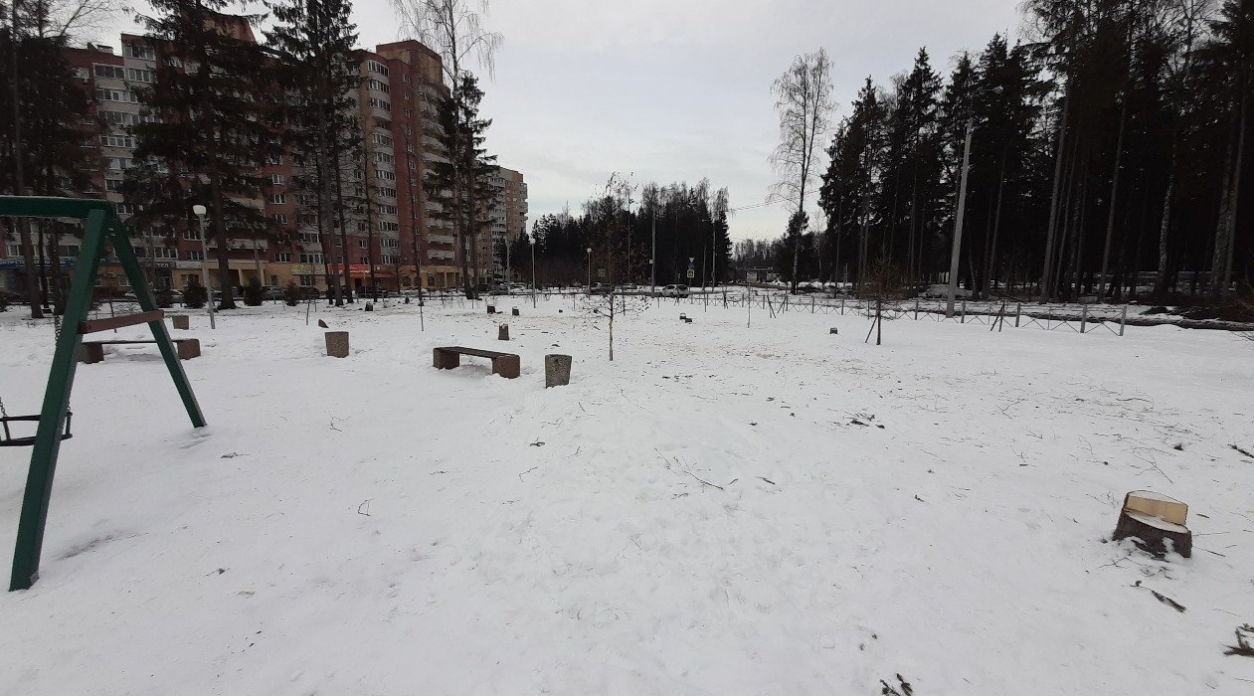У ТЦ «Обними» в Обнинске началась массовая вырубка деревьев