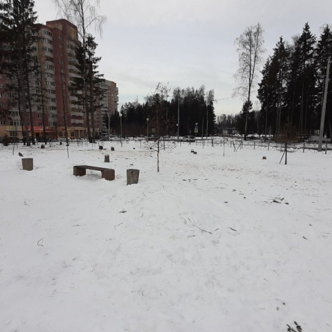 У ТЦ «Обними» в Обнинске началась массовая вырубка деревьев