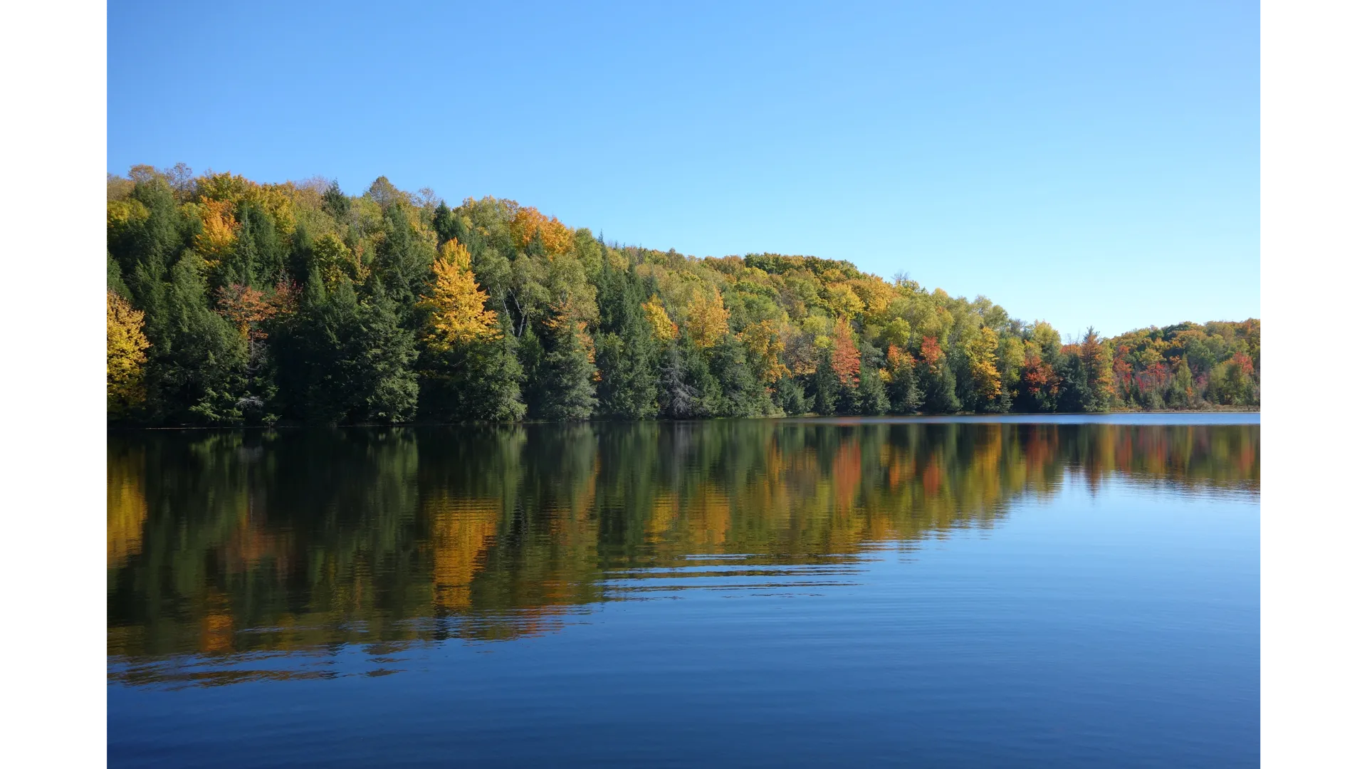 В Орехово-Зуевском округе два водоема вошли в программу «100 озер и прудов» на 2023 год