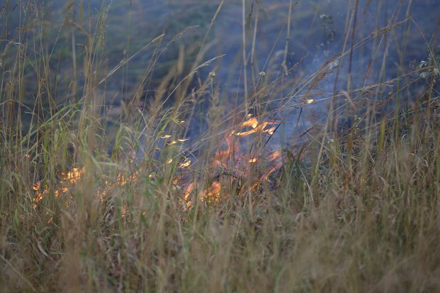 В Можайске открыли пожароопасный сезон