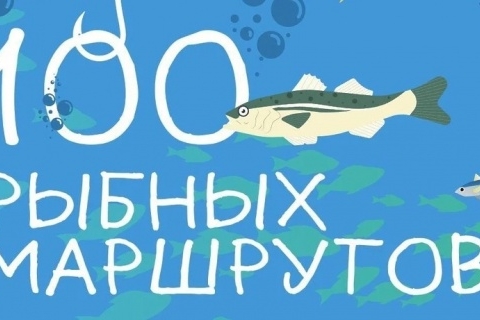 100 автобусных маршрутов возят жителей Подмосковья до рыбных мест