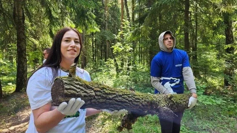 Жителей Егорьевска приглашают принять участие в акции «Чистый лес»
