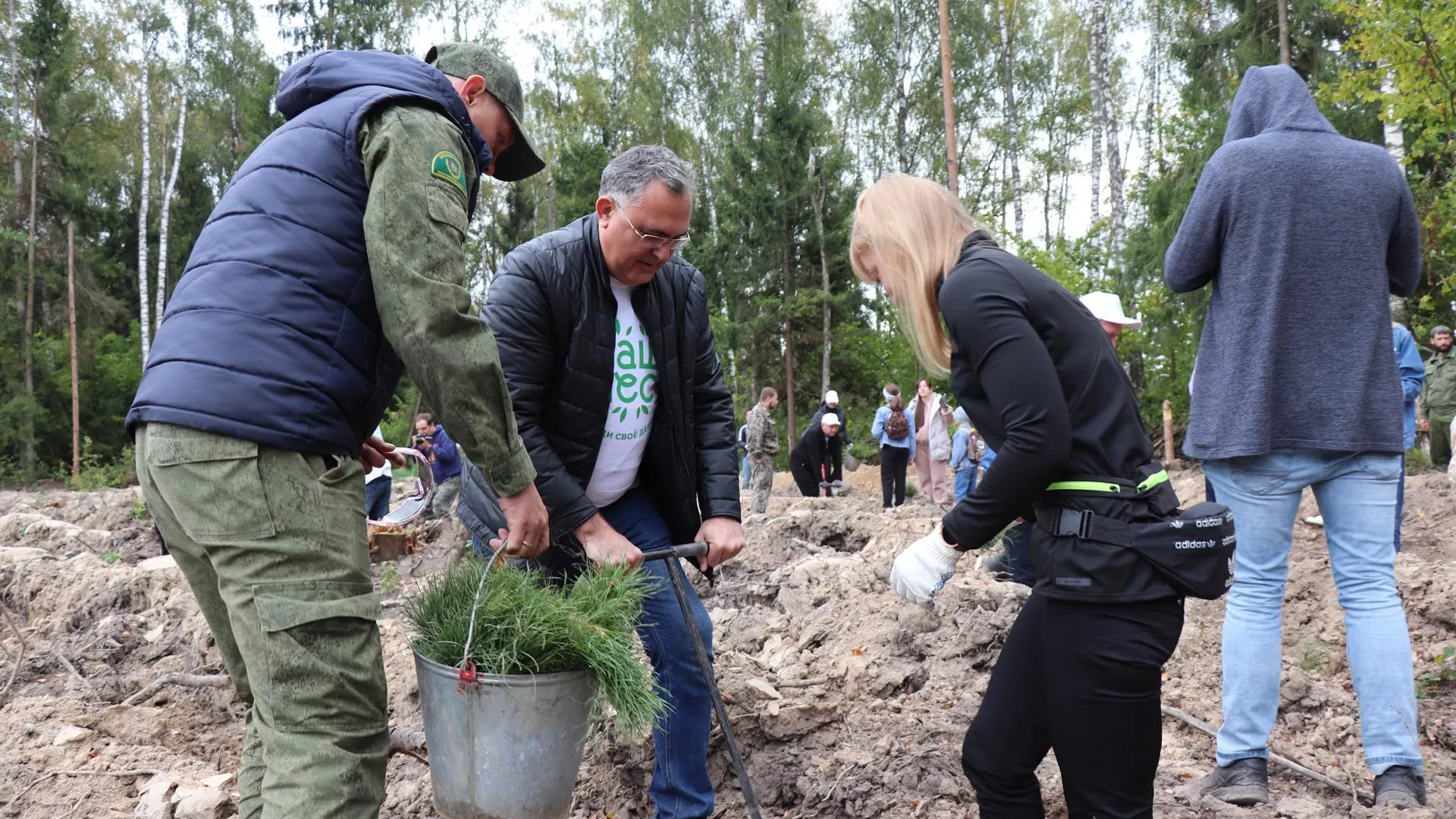 Девять тысяч сеянцев сосны высадили сегодня в Егорьевске