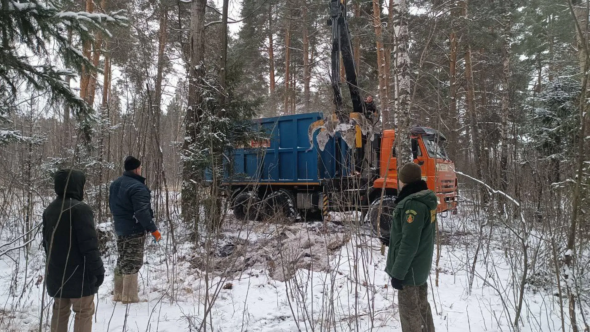 Свыше двух тысяч кубометров мусора убрано в лесах Орехово-Зуева за 2023 год