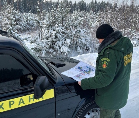 В лесах утвердили маршруты патрулирования на текущий год