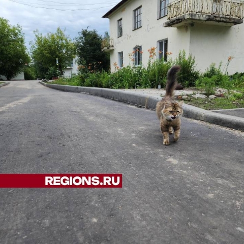 В деревне Демихово благоустроили дворовую территорию на улице Заводской