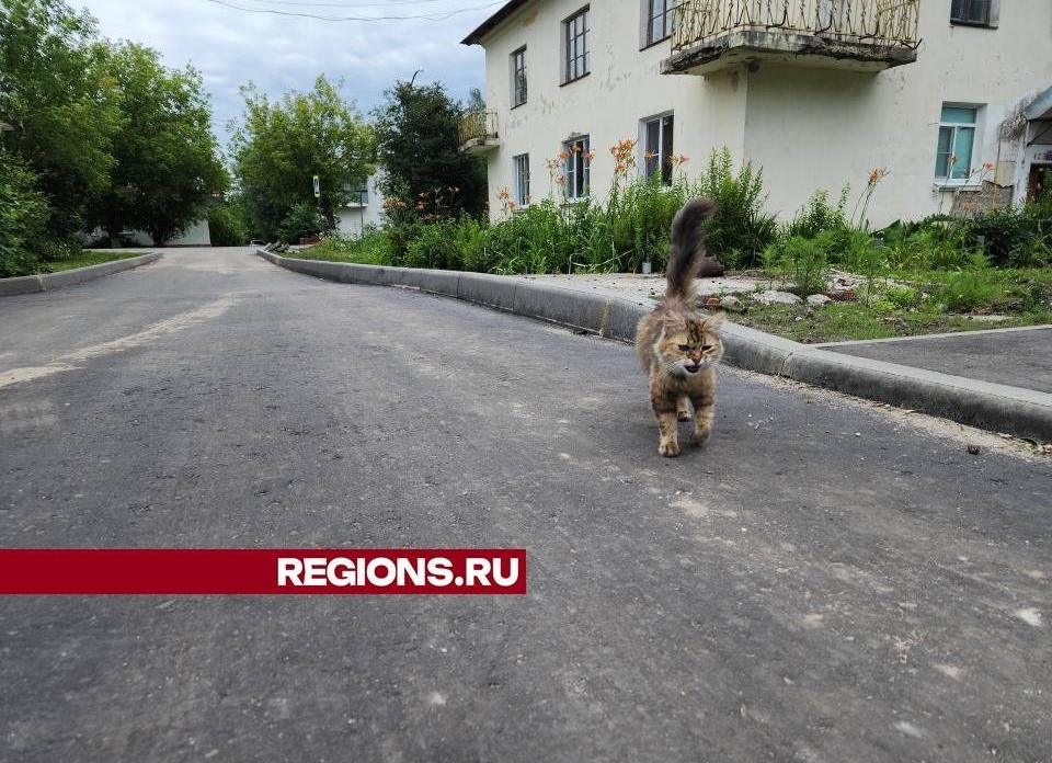 В деревне Демихово благоустроили дворовую территорию на улице Заводской