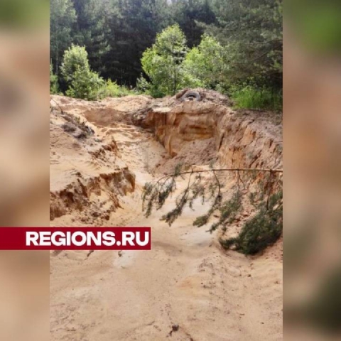 В Орехово-Зуеве ищут «черных» копателей» и нарушителей чистоты в лесу