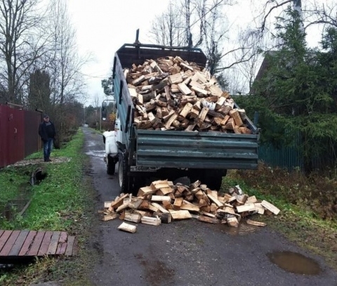 С начала года жители Подмосковья подали 351 заявку на заготовку дров