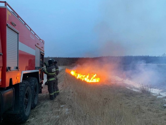 В городском округе Коломна потушили травяной пожар