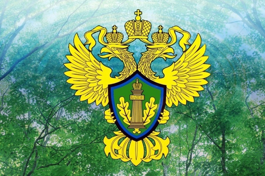 Владимирский природоохранный прокурор проведет прием граждан в Киржачском районе